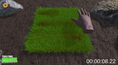 Screenshot of Touch Some Grass