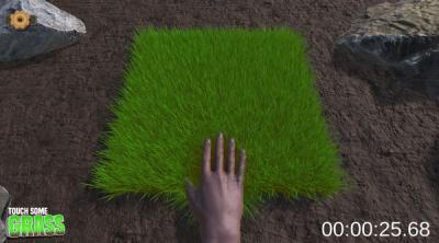 Screenshot of Touch Some Grass