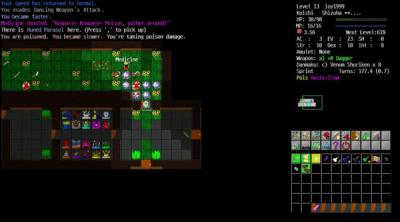 Screenshot of Touhou Crawl