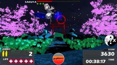 Screenshot of Touhou Crisis