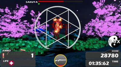 Screenshot of Touhou Crisis