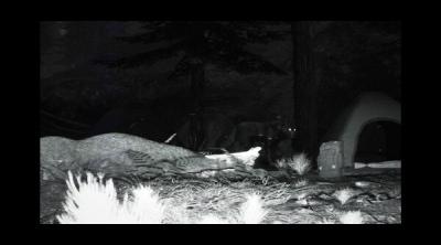 Screenshot of TRAILCAM