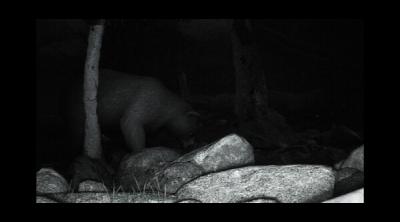 Screenshot of TRAILCAM