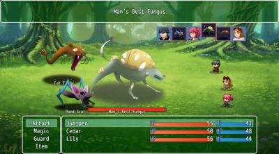 Screenshot of Tranquil Garden: Adventurer's Edition