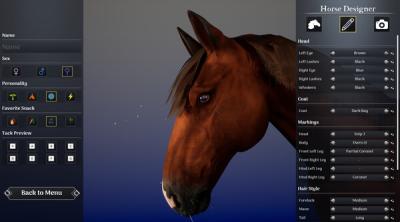 Capture d'écran de Unbridled: Horse Designer
