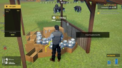 Screenshot of Village Dealer Simulator