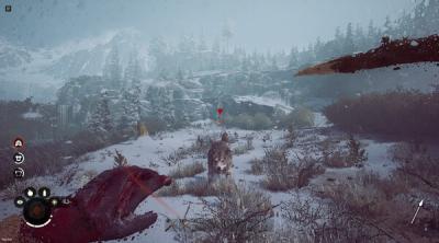 Screenshot of Winter Survival