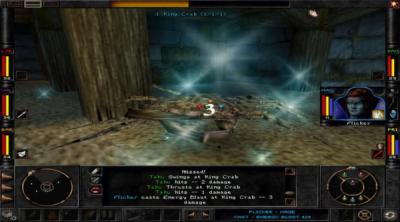 Screenshot of Wizardry 8