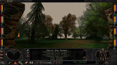 Screenshot of Wizardry 8