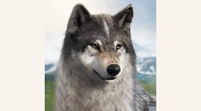 Logo of Wolf Game: The Wild Kingdom