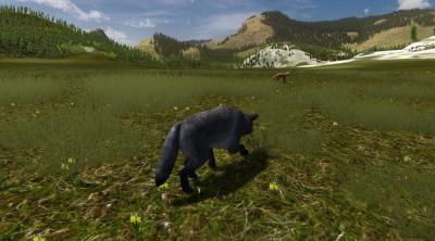 Screenshot of WolfQuest