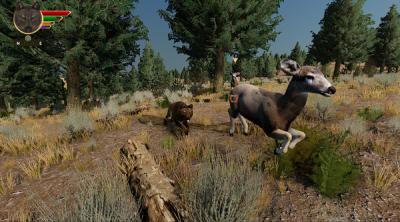 Screenshot of WolfQuest: Anniversary Edition