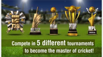 Screenshot of World Cricket Championship 2