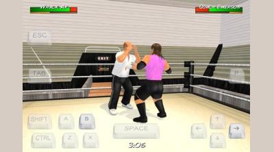 Screenshot of Wrestling Revolution 3D