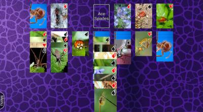 Screenshot of Wyvern Studios Solitaire: 30th Aniversary Edition
