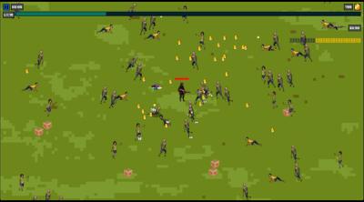 Screenshot of Zombie Survivor