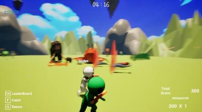 Screenshot of zoomies
